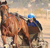 Ballarat  District Trotting Club - Accommodation Main Beach