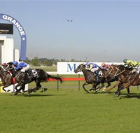 Kembla Grange Racecourse - Illawarra Turf Club - Accommodation Main Beach
