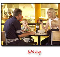 Steelers Club - Accommodation Main Beach