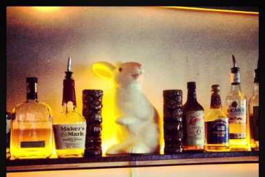 Hairy Canary - Accommodation Main Beach 0