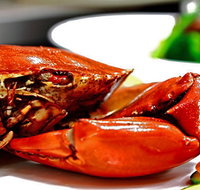 Newquay International Buffet - Accommodation Main Beach