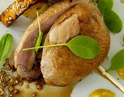 Blu Bar On 36 - Accommodation Main Beach 3