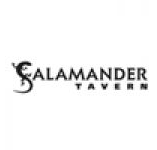 Salamander Tavern - Accommodation Main Beach