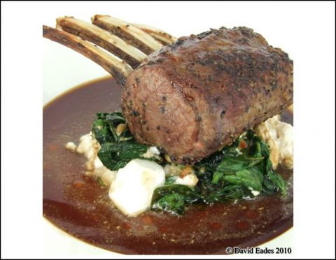 O'hotel - Accommodation Main Beach 0