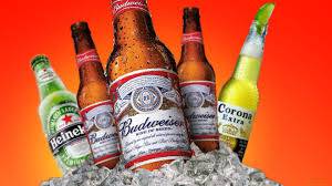 Figtree Cellars - Accommodation Main Beach 4