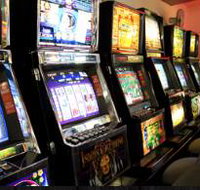 Buff Club - Accommodation Main Beach