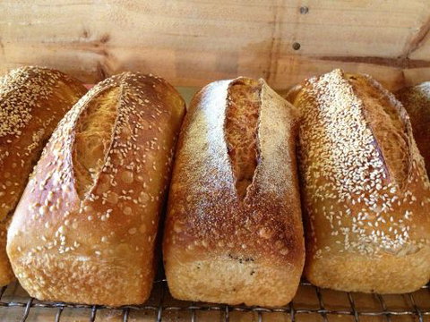 Blackbird Artisan Bakery - Accommodation Main Beach 0