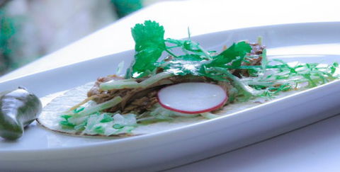 Pepino's Mexican Restaurant - Accommodation Main Beach 2