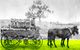 A Tale Of Two Villages - An Exhibition - thumb 1