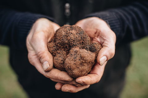A Taste Of Truffles - Accommodation Main Beach 0