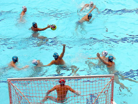 Australian Youth Water Polo Championships - Accommodation Main Beach 0