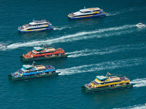 Australia Day Sydney Harbour Cruises - Accommodation Main Beach 1