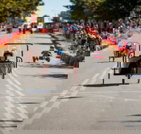 Australian Billy Cart Championships - Accommodation Main Beach
