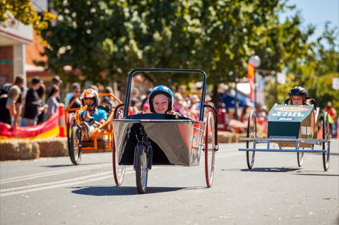Australian Billy Cart Championships - Accommodation Main Beach 2