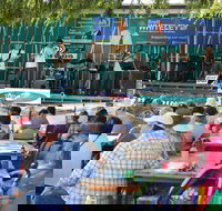 Festival in the Park - Accommodation Main Beach