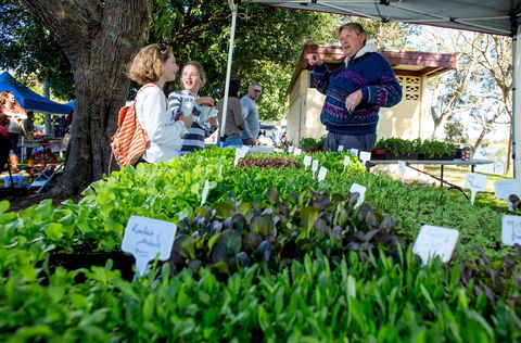 Gladstone Quality Markets - Accommodation Main Beach 2
