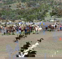Gresford Agricultural Show - Accommodation Main Beach