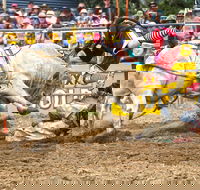Jindabyne's Man From Snowy River Rodeo - Accommodation Main Beach