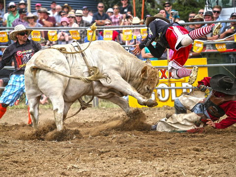 Jindabyne's Man From Snowy River Rodeo - Accommodation Main Beach 0