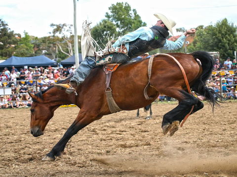 Jindabyne's Man From Snowy River Rodeo - Accommodation Main Beach 1