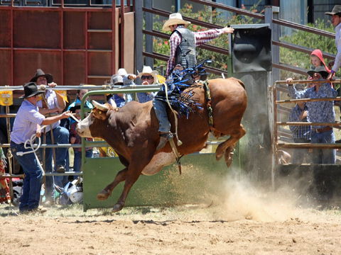Jindabyne's Man From Snowy River Rodeo - Accommodation Main Beach 2