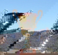 Nimbin Poetry World Cup - Accommodation Main Beach