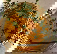 Online live streaming class DIY Skincare Products - Accommodation Main Beach