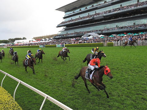 The TAB Everest: The World’s Richest Race On Turf - Accommodation Main Beach 0
