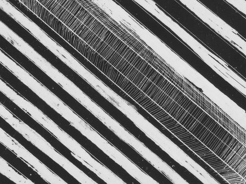 WA Now – Tom Mùller: Monolith Scores - Virtual Exhibition - Accommodation Main Beach 1