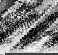 Wayward Women - Accommodation Main Beach