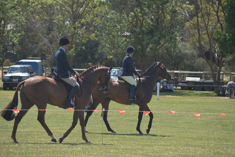Yankalilla Show - Accommodation Main Beach 2