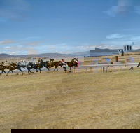 Adaminaby Cup Race Day - Accommodation Main Beach