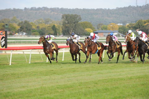 Aggies Race Day - Accommodation Main Beach 0