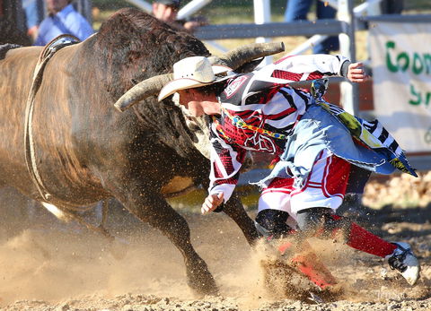 AgriWest Cooma Rodeo - Accommodation Main Beach 2