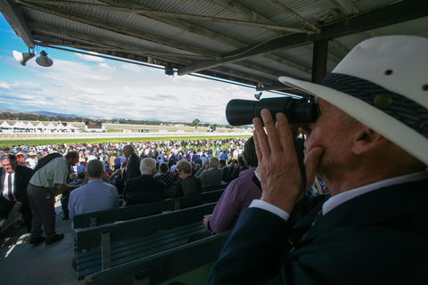 Albury Racing Club Boxing Day Races - Accommodation Main Beach 1
