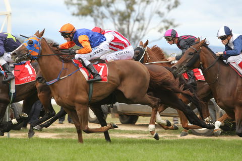 Albury Racing Club January Race Day - Accommodation Main Beach 1