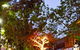 Alice Springs Town Council Night Markets - thumb 0