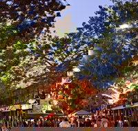 Alice Springs Town Council Night Markets - Accommodation Main Beach