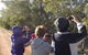 Annual Koala Count - thumb 1