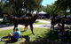 ArtOut Artisan Market - thumb 0