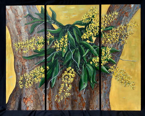 A Still Life - Solo Exhibition  Karen Sedaitis - Accommodation Main Beach 1