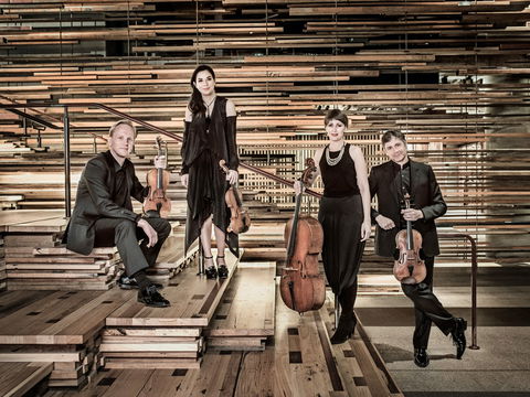 Australian String Quartet Plays Late Beethoven - Accommodation Main Beach 2