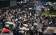 Aussie Night Markets Menangle - thumb 0