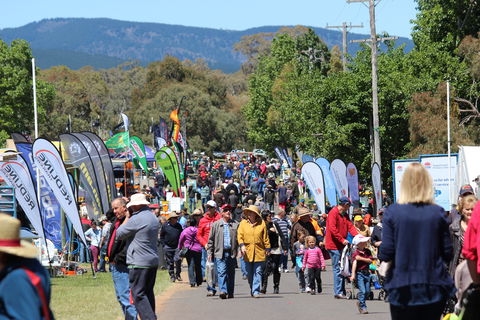 Australian National Field Days - Accommodation Main Beach 1