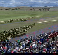 Cooma Sundowners Cup - Accommodation Main Beach