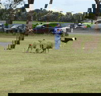 Dean Sheepdog Trials - Old Sniff Classic - Accommodation Main Beach