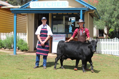 Festival Of The Big Cow - Accommodation Main Beach 2