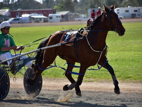 Forbes Show - Accommodation Main Beach 0