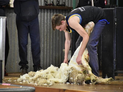 Forbes Show - Accommodation Main Beach 1