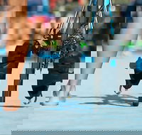 Gold Coast Triathlon Training